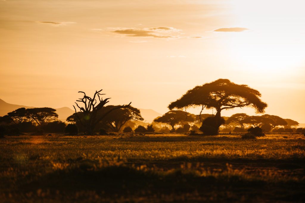 memorable kenya travel photography